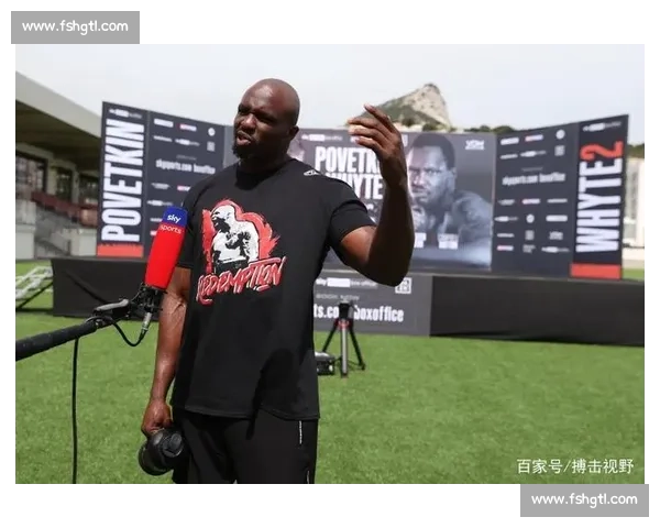 力量与速度的巅峰对决大卫海耶对阵波维特金全面解析战术风格与胜负关键